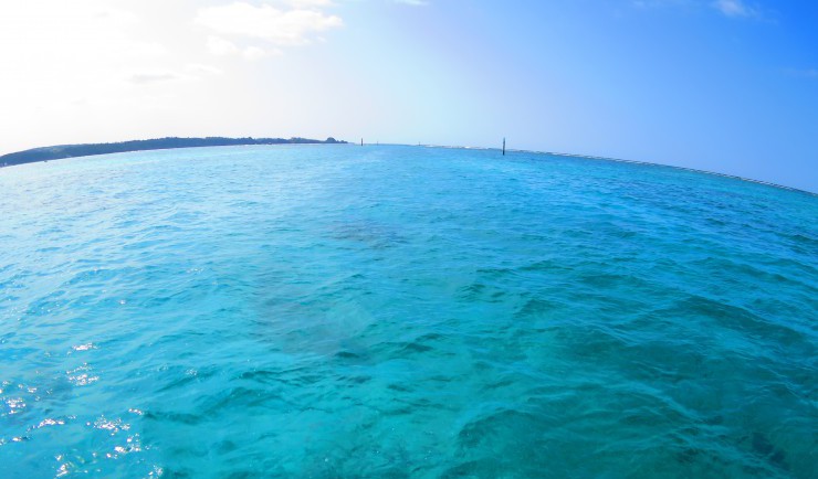 気持ち良い青空と青い海