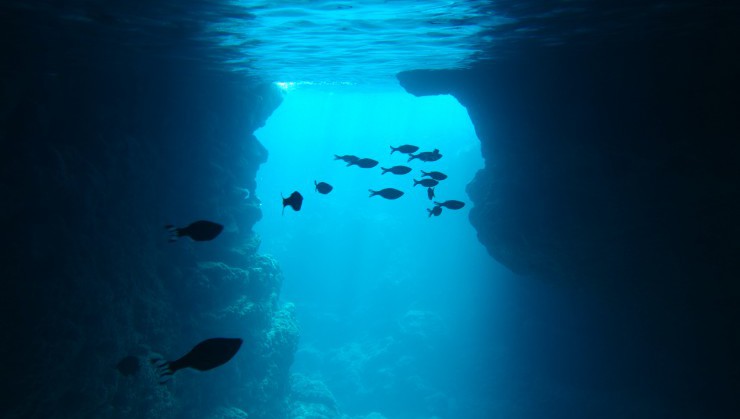 洞窟内の水中世界
