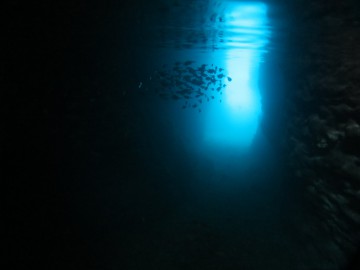 青の洞窟体験ダイビング×２名様（写真NG）