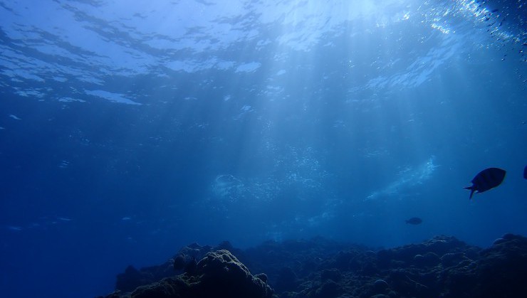 海中に差し込む光