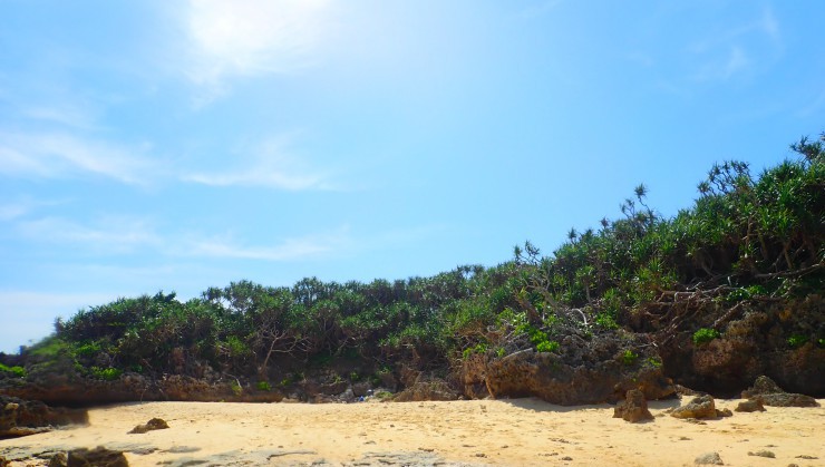 （魅力満点無人島）