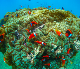 その一歩は、足元にきざまれた一生の宝物。