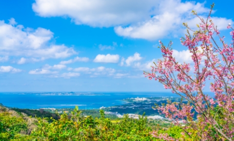 3月〜5月